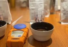 杯测时间和咖啡浓度及萃取率的关系