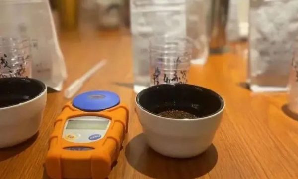 杯测时间和咖啡浓度及萃取率的关系
